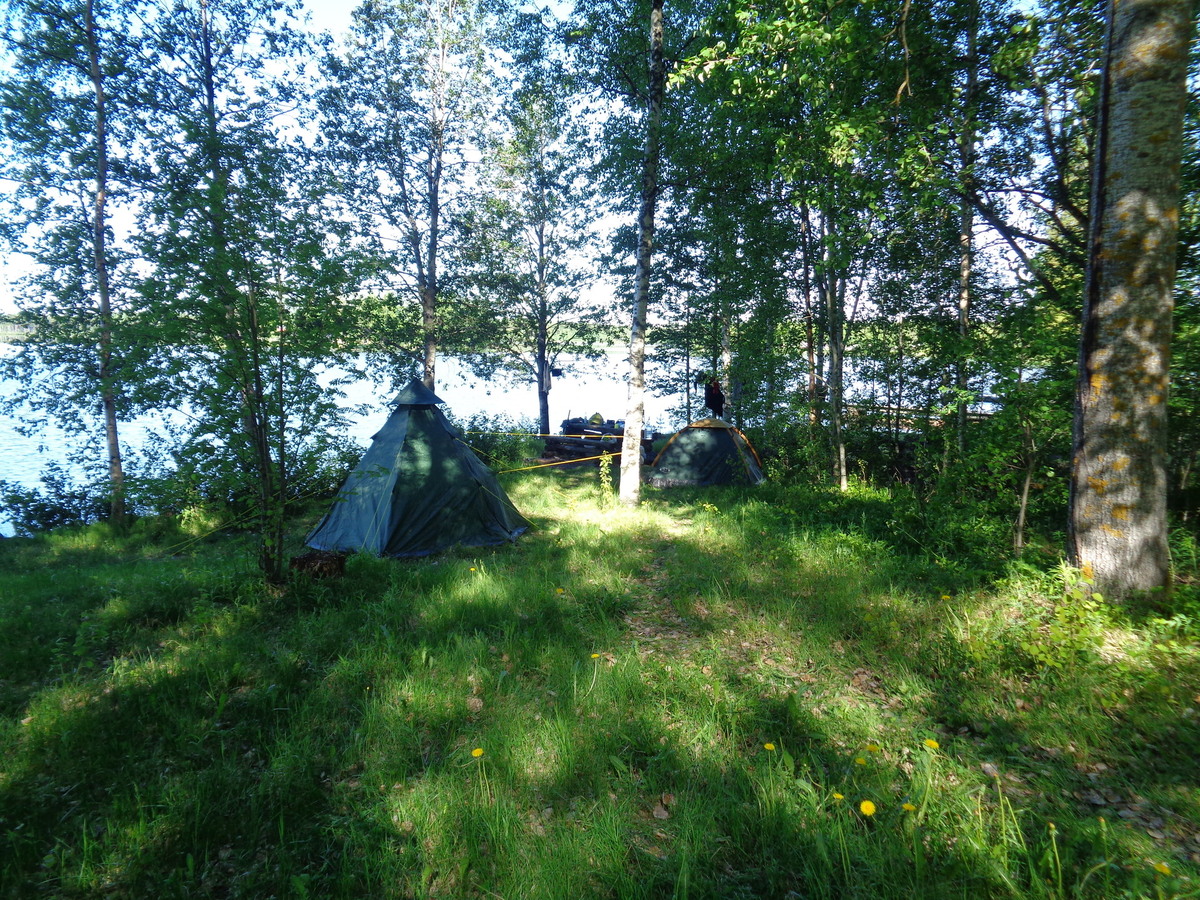 Kaksi telttaa pystytettynä puiden varjoon järven rannalle.